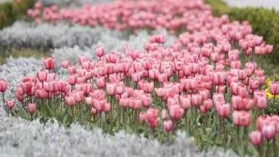 Предимно слънчево в изборния ден, следобед на места с превалявания