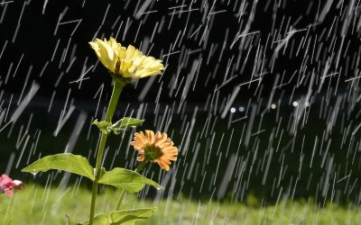 Валежи и гръмотевици в съботния ден