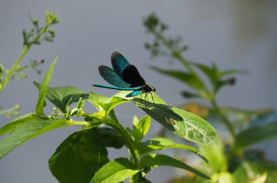 До 17&deg; утре в София, през уикенда ще бъде още по-топло