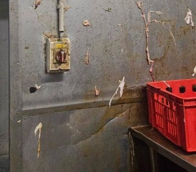 Затвориха кланица край Пловдив с 36 тона негодни храни