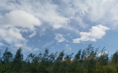 В събота ще духа умерен до силен вятър от север-североизток