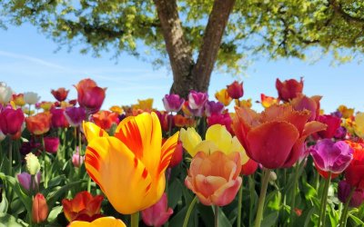 По-топло без сериозни валежи &ndash; какво време ни очаква до края на април