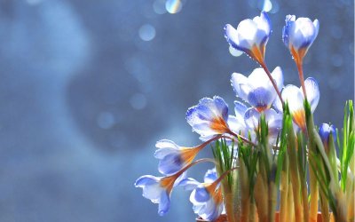 Времето се обръща: идват валежи и захлаждане