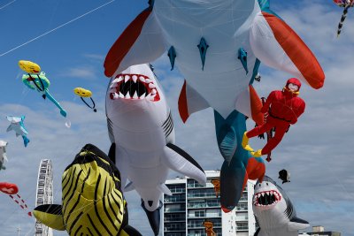 Фестивал на хвърчилата в Берк, Франция (СНИМКИ)