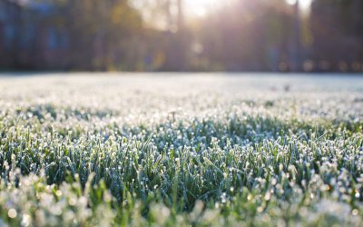 До 13&deg; в София днес, има опасност от слани в североизточните райони на страната