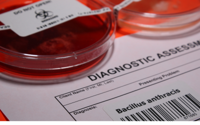 Проверяват дали месо от огнището с антракс в село Черногор е достигнало до магазините