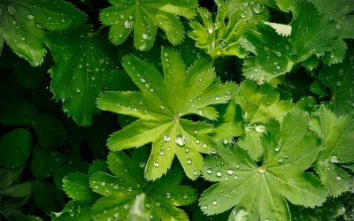 По-студено време ни очаква утре, валежите продължават