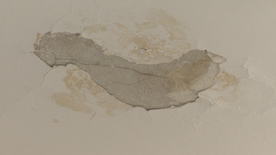 След частични ремонти през 2025 г., книгите в хранилището на националната библиотека са защитени