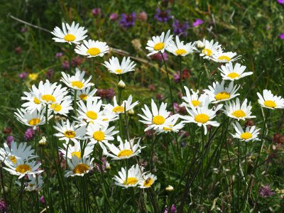 Жълт код за валежи, максималните температури ще са между 13&deg; и 19&deg;