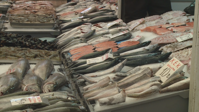 Свръхуловът забавя растежа на рибите, предупреждават учени