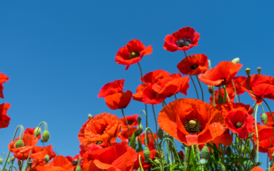 Очаква ни слънчево време с временни увеличения на облачността