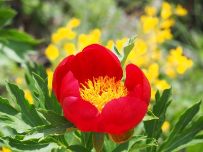 Неделя и понеделник: повече слънце, но и по-хладно