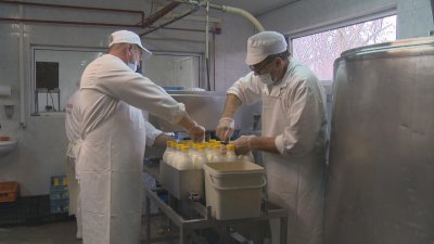 БАБХ започва проверки на 100% от вноса на мляко