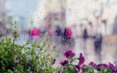 Съществено понижение на температурите и валежи от дъжд през следващите дни