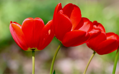 Очакват ни високи температури до края на днешният ден