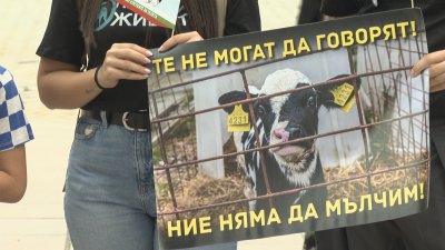 Новите депутати и приоритетите им: Нагласи за законови промени в защита на животните