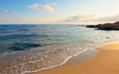 Southern Black Sea Coast Expects Rise in Tourists Amid Preparations for Summer Season, Water Quality Monitored at 49 Points