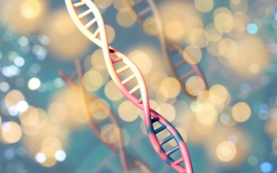 Идеалното бебе - компании в САЩ предлагат генетично перфектни ембриони