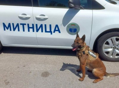 В края на април на ГКПП Капитан Андреево се проведе