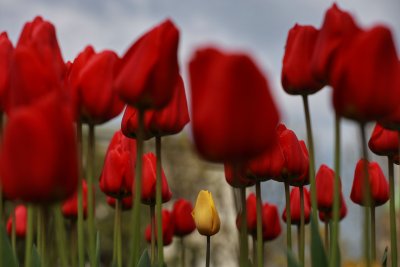 Слънчево време и съществено затопляне през новата седмица