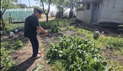Градушка с големина на орех удари сливенското село Жельо войвода