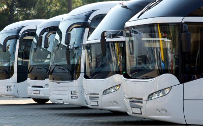 Магдалена Милтенова: Недостигът на шофьори в автобусния транспорта се задълбочава