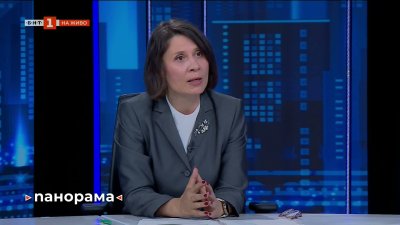 Елисавета Белобрадова: &bdquo;Демократична България&ldquo; е реалната опозиция в парламента