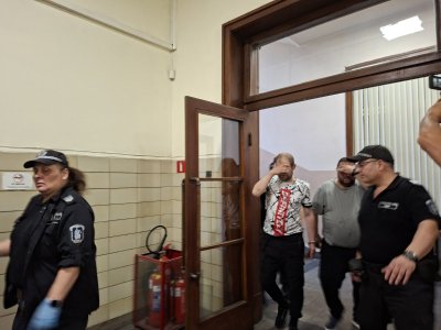 Оставиха в ареста помагачи за трафик на марихуана за над 250 000 евро