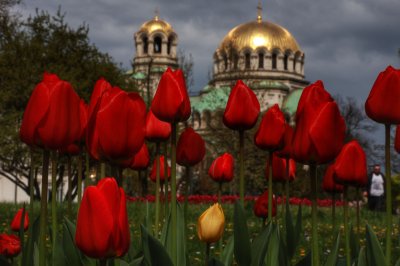 Празнуваме Петдесетница - рождения ден на църквата