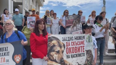 Протести срещу насилието над животни в Бургас, искат зоополиция