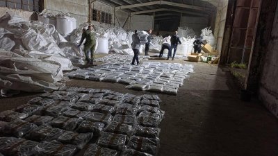 Съдът остави в ареста обвинените за 250 кг марихуана край Зимница