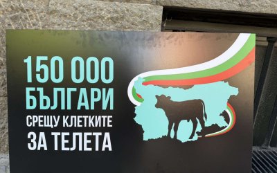 150 000 подписа срещу клетките за телета бяха докарани с мотокар до парламента