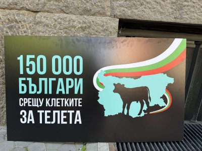 Граждани внесоха петиция в Народното събрание с искане да не