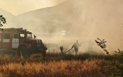 Пожар избухна в лавандулова нива край Гурко