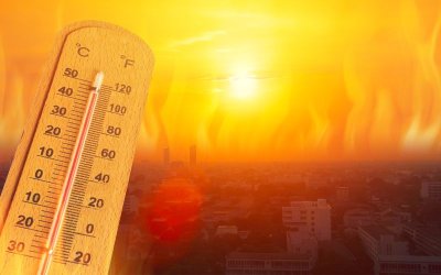 Жълт код за опасни горещини в 14 области на страната - температури до 37