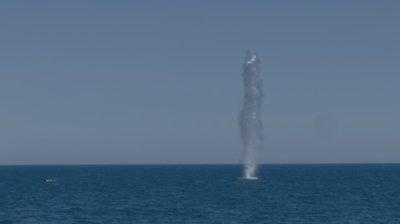 Военноморските сили унищожиха дрон край Кранево
