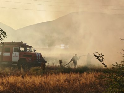 ​Пожар в изоставена лавандулова нива край Гурко вдигна на крак