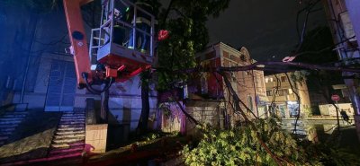 Над 80 сигнала за паднали дървета и запушени шахти са получени при бурята в Пловдив