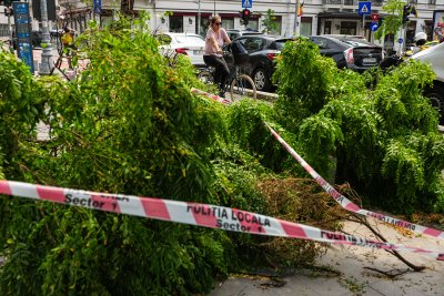 Рекордно топли океански води бяха отчетени през юни със средна