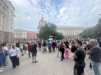 Protesters against the Cabinet Led by Rumen Radev Gathered in Downtown Sofia