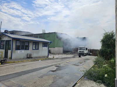 който се разрази вчера в халетата на завод за преработка