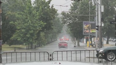 Лятна буря в столицата: 12 сигнала за паднали дървета