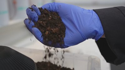 Във Великобритания правят електричество от бактерии в почвата