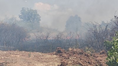 Пожар край пътя Асеновград &ndash; Кърджали, движението е ограничено