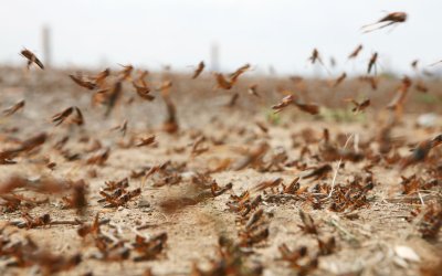 През последните дни в много квартали на Истанбул са се