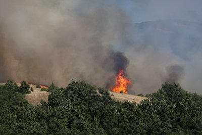 Потушен е пожар край благоевградското село Хърсово