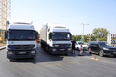 Агенцията по храните спря над 230 тона храни и фуражи от трети държави през юни