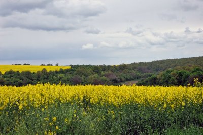 Слънчево време на изток, валежи в Западна и Централна България в неделя