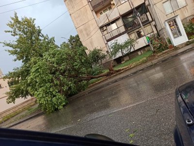Силна буря с проливен дъжд и ураганен вятър се разрази