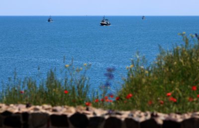 Горещо и предимно слънчево ще бъде в началото на новата